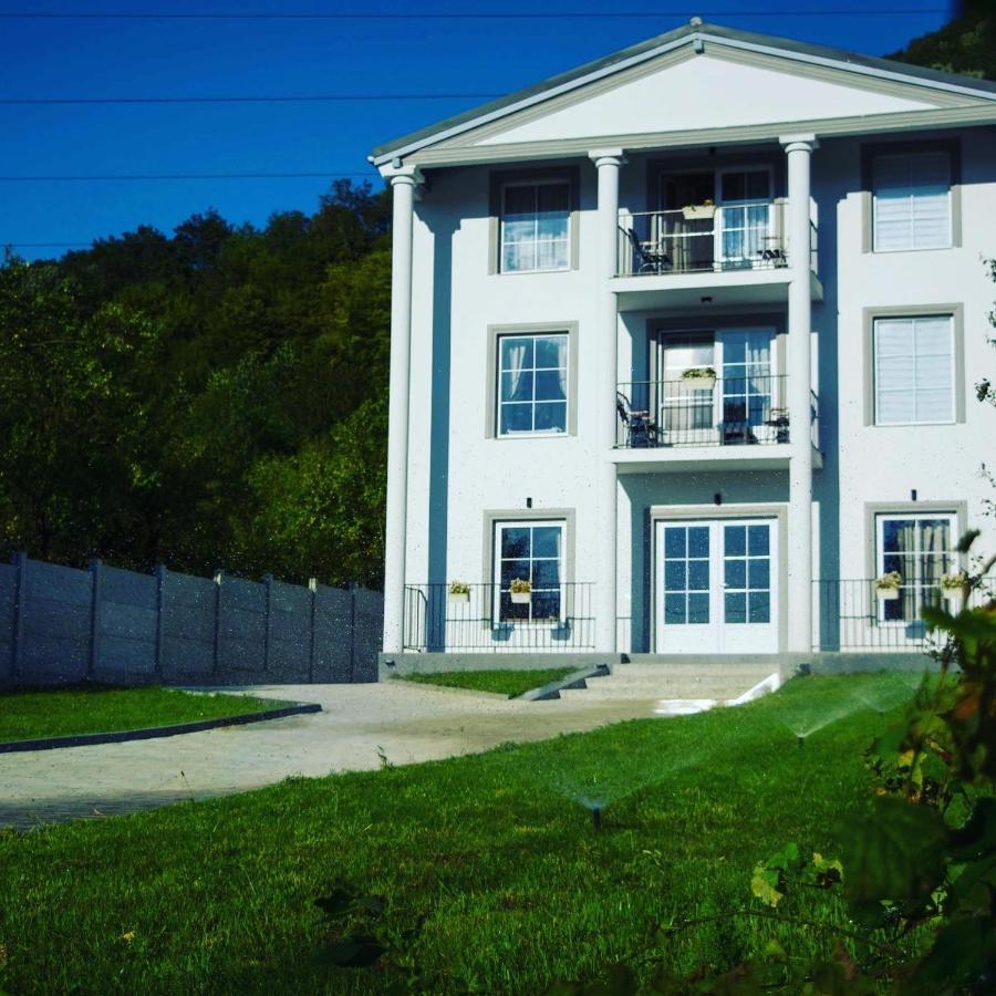 Green Hill Villa Călimăneşti Bagian luar foto
