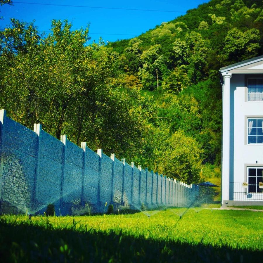 Green Hill Villa Călimăneşti Bagian luar foto