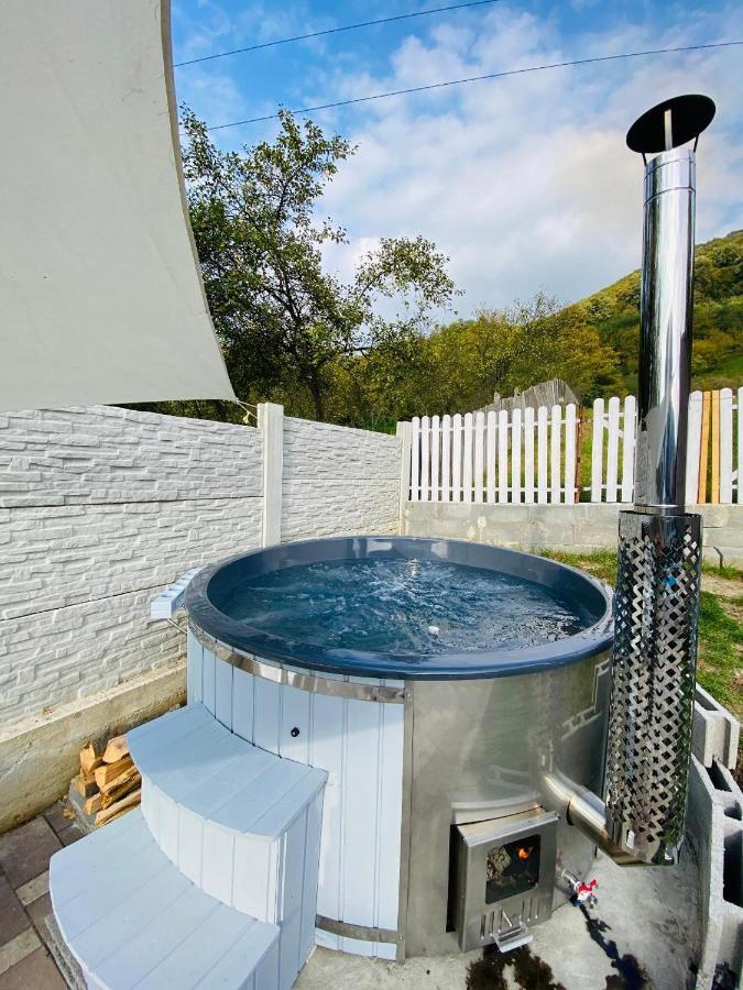 Green Hill Villa Călimăneşti Bagian luar foto