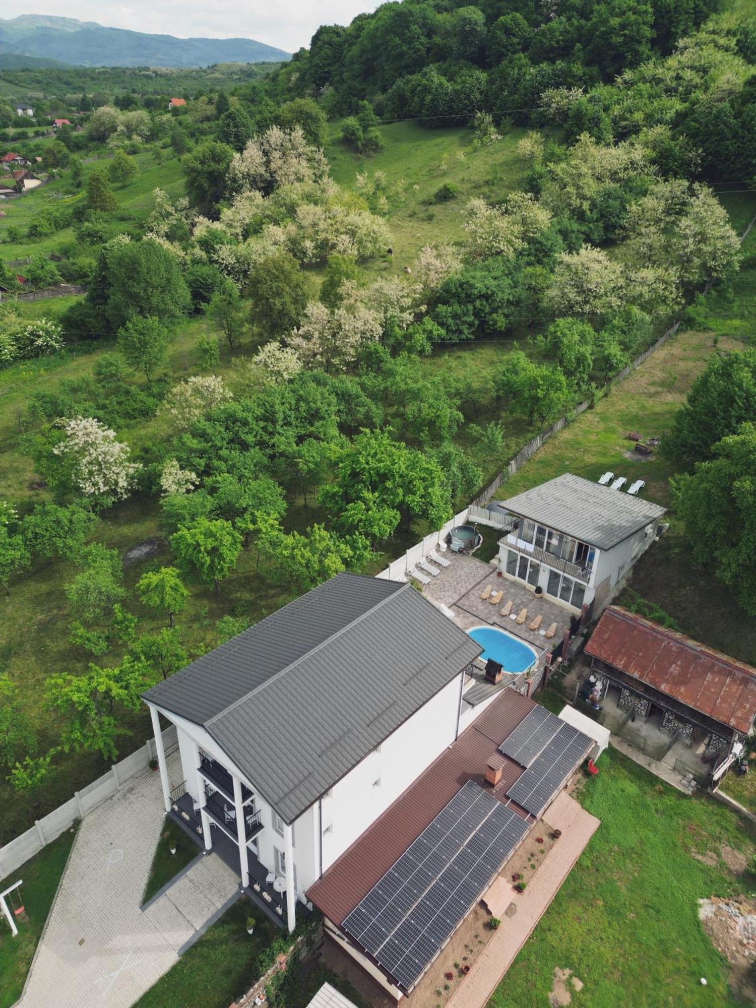 Green Hill Villa Călimăneşti Bagian luar foto