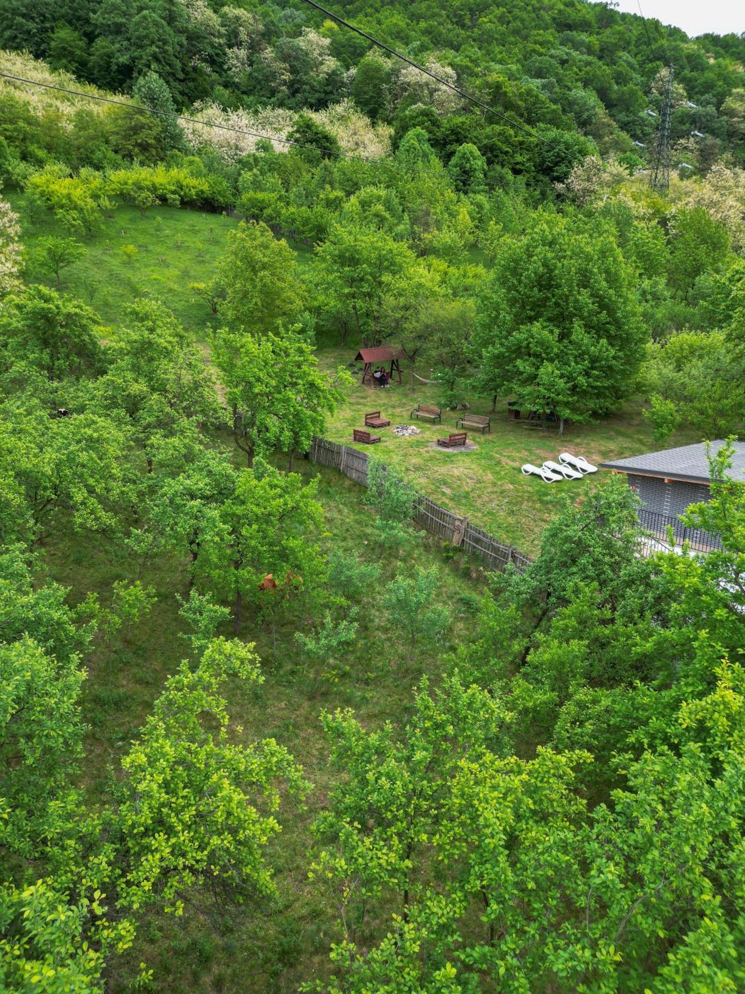 Green Hill Villa Călimăneşti Bagian luar foto