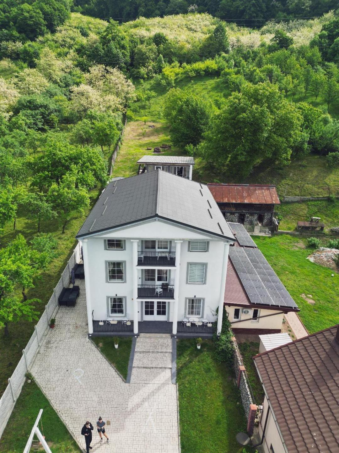 Green Hill Villa Călimăneşti Bagian luar foto